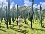Das La Senda Kakteen Labyrinth 