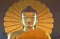 Auf den Spuren des Buddhismus in Nordindien und Nepal