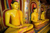 Höhepunkte Sri Lankas 5-tägige Rundreise