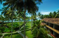 Ayurveda in Varkala