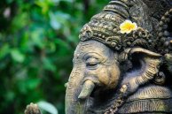 Light My Energy: Spiritual Yoga Retreat in Bali