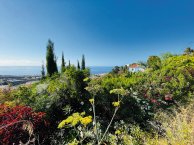 Sommer - Ayurveda-Kuren im grünen Norden Teneriffas