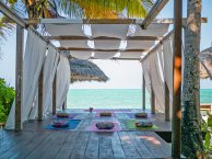 Yin Yoga & Breathwork