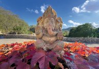 Innehalten und Kraft sammeln mit Qi Gong, Yoga und Meditation