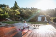 Yin- & Hatha-Yoga: Reise zur inneren Kraft