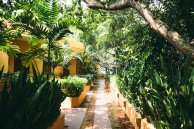 Somatic Yoga mit tantrischer Breathwork