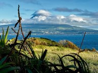 Mindfulness & Creativity Retreat