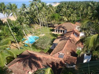 Umgeben von grünen Palmen und dem Meer befindet sich die Lotus Villa