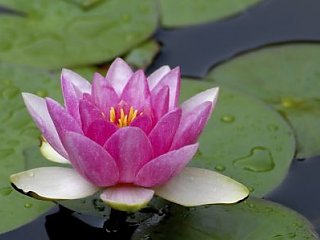 Ayurveda Reisespecials 