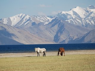 Ladakh Reise mit NEUE WEGE