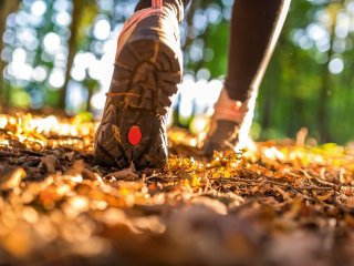 Wandern im Herbstlaub