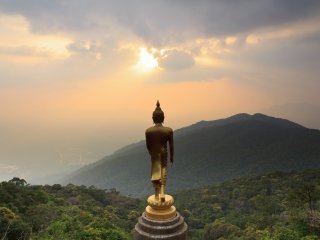 Buddha Statue genießt die Aussicht