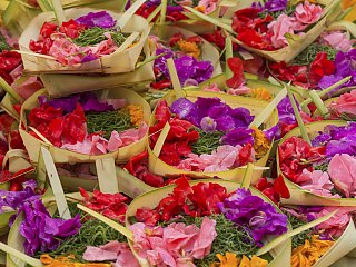Farbenfrohes Blumenmeer