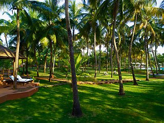 Entspannen Sie sich auf Ihrer eigenen Sonnenterrasse mit Blick auf die vielen Kokospalmen
