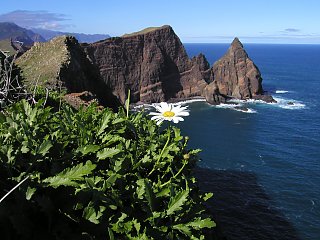 Atemberaubende Ausblicke auf die Steilküste Madeiras