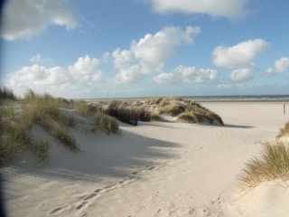 Der breite und lange Sandstrand auf Baltrum lädt zu ausgiebigen Strandspaziergängen ein