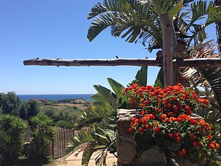 Ein Ausblick aufs Meer mit einem bunten Blumen-Akzent im Hotel Galanias auf Sardinien