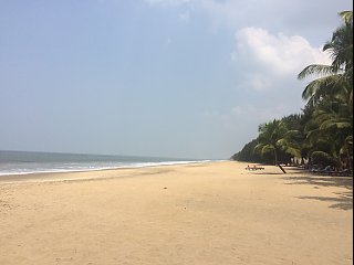 Weißer Sandstrand soweit das Auge reicht - herrlich in Kerala!