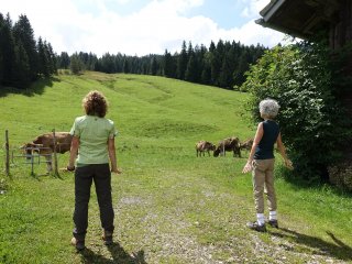 Meditation mit Kerstin Boose unter den neugierigen Blicken der Kälber