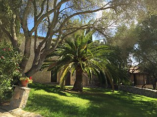 In der Yoga Finca Son Mola Vell auf Mallorca spenden Bäume und Palmen im Garten einen angenehmen Schatten