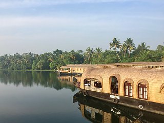 Eine Bootstour durch die Backwaters bietet eine besonders schöne Aussicht auf die Natur Keralas