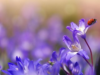 Erholen Sie sich auf unseren Reisen nachhaltig bei Yoga, Meditation, Ayurveda, Detox und vielem mehr...