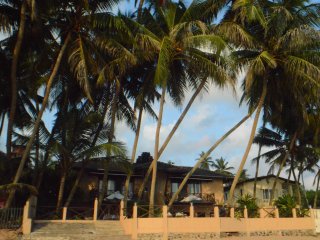 Oase in der Palmenlandschaft Sri Lankas, direkt am Meer - die Safira Beach Residence