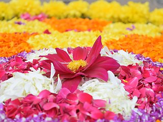 Bunte Mandalas aus Blumen beim Onam Festival in Indien