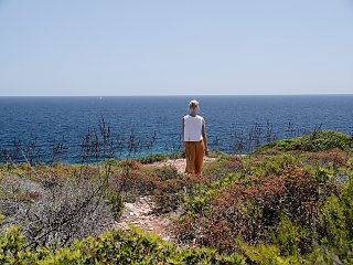 Der kleine Weg entlang unberührter Natur führt hinunter an die Küste Mallorcas
