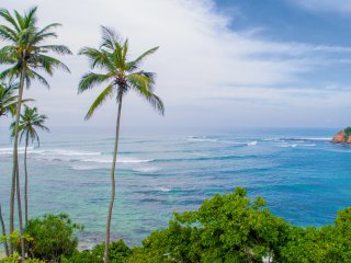 Hinter grünem Jungle erstreckt sich der weite, blaue Ozean - Aussicht aus Ihrem Zimmer im Ayurvie