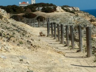 Schöne Wanderwege führen Sie entlang der Küste an der Algarve