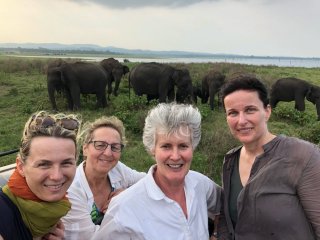 Elefanten-Safari auf Sri Lanka - Elefanten hautnah sein war ein einzigartiges Erlebnis