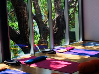 Panoramablick ins Grüne während der Yogastunde auf Madeira