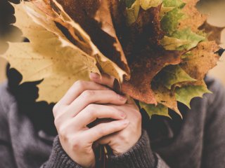 Blätter sammeln im Herbst