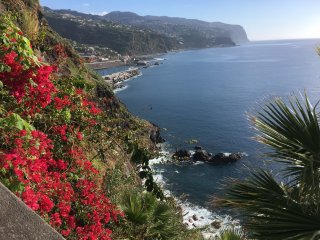 Blick auf die Bucht der Blumeninsel Madeira. 