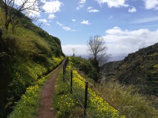 Blicken Sie während den Wanderungen in die Natur Portugals und lassen Sie sich von dem Ausblick auf den Atlantik verzaubern 