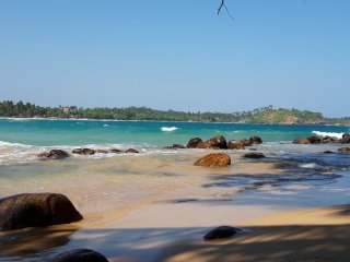 Kühlen Sie sich im Meer vor Sri Lanka ab 