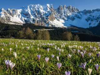 Erkunden Sie die wunderschöne Natur in Südtirol