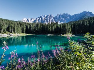 Erholen Sie sich auf den Wanderungen durch Südtirol und entdecken Sie den Latemar