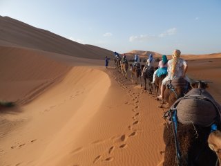 Die Sahara auf dem Rücken der Kamele durchqueren