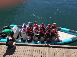 Von Madeira aus können Sie die lebhafte Unterwasserwelt während einer spannenden Bootstour entdecken.