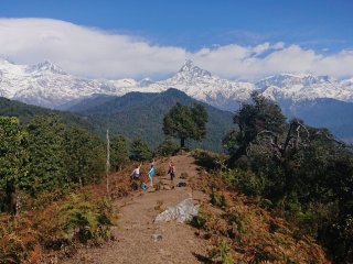 Praktizieren Sie Yoga mitten im Himalaya
