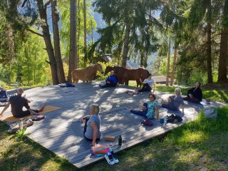 Bei der Yoga-Stunde war die Gruppe umgeben von grünen Wäldern und diesen sanften Vierbeinern.