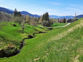 Ein paar Höhenmeter tiefer ist der Frühling schon in vollem Gange.