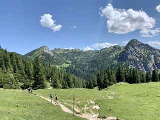 Wanderungen über grüne Almwiesen
