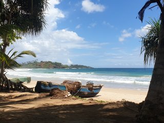 Genießen Sie ausgiebige Spaziergänge am Strand