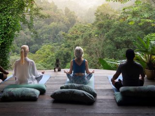 Bei einer Meditation der Stille des Waldes lauschen