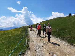 Genießen Sie die Ruhe der Natur bei einer Wanderung durch die Berge
