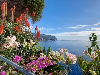 Frühlingshaftes Wetter im Winter auf Madeira