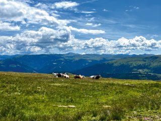 Eine Wanderung durch die Berge Österreichs